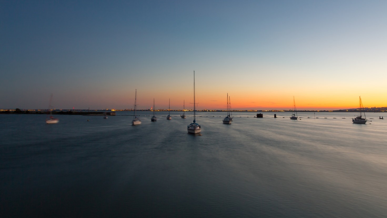 Langstone Harbour awards Oceanwise environmental monitoring contract 